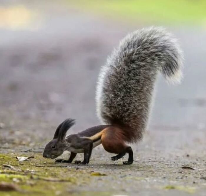 foto bellezze nella natura foto bellezze nella natura