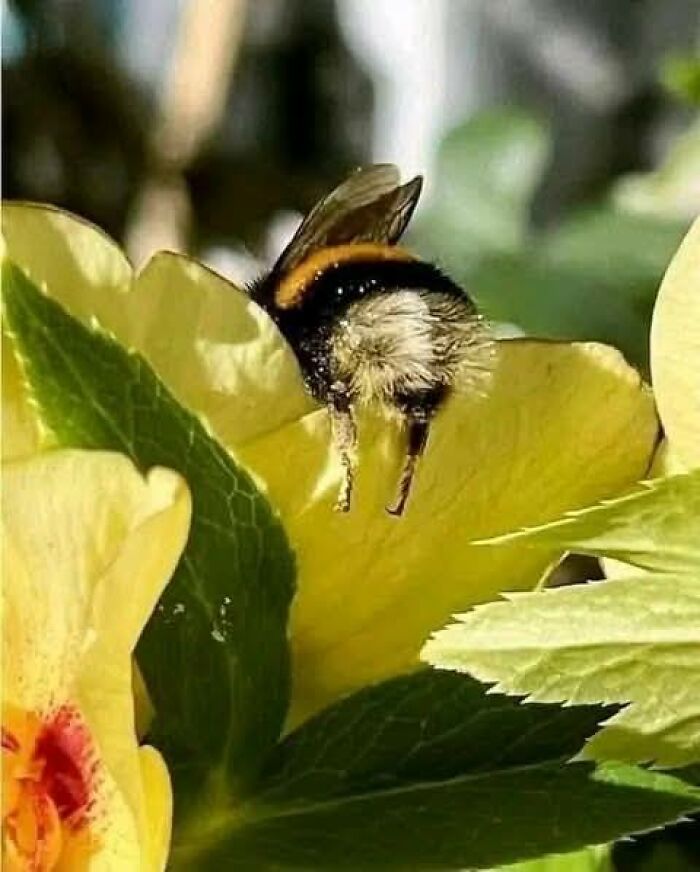 foto bellezze nella natura foto bellezze nella natura