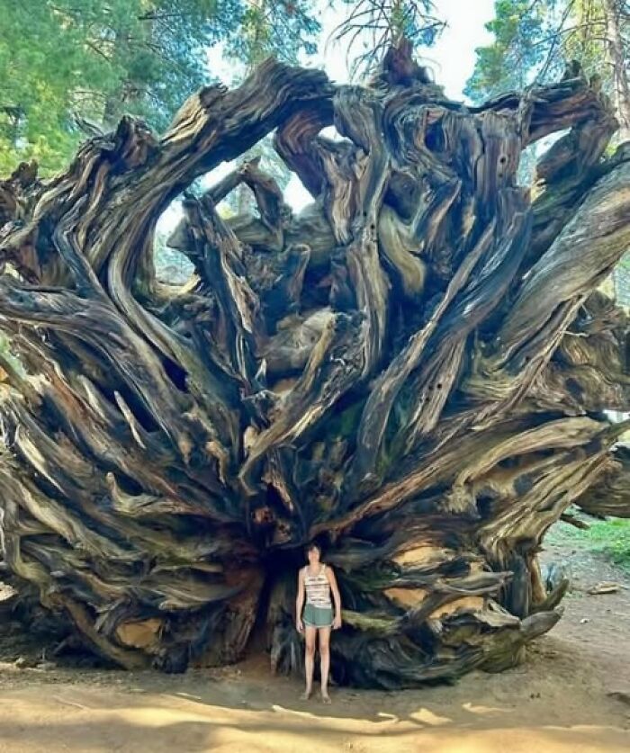 foto bellezze nella natura foto bellezze nella natura