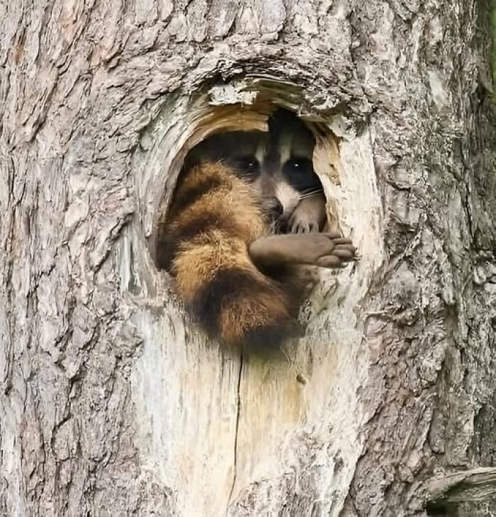 foto bellezze nella natura foto bellezze nella natura