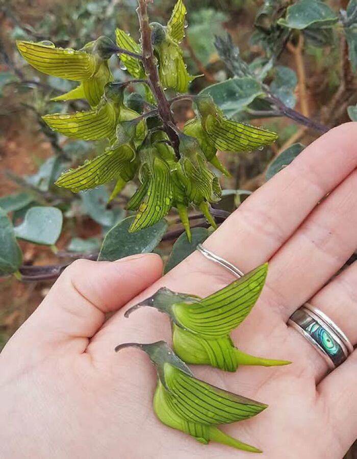 foto bellezze nella natura foto bellezze nella natura
