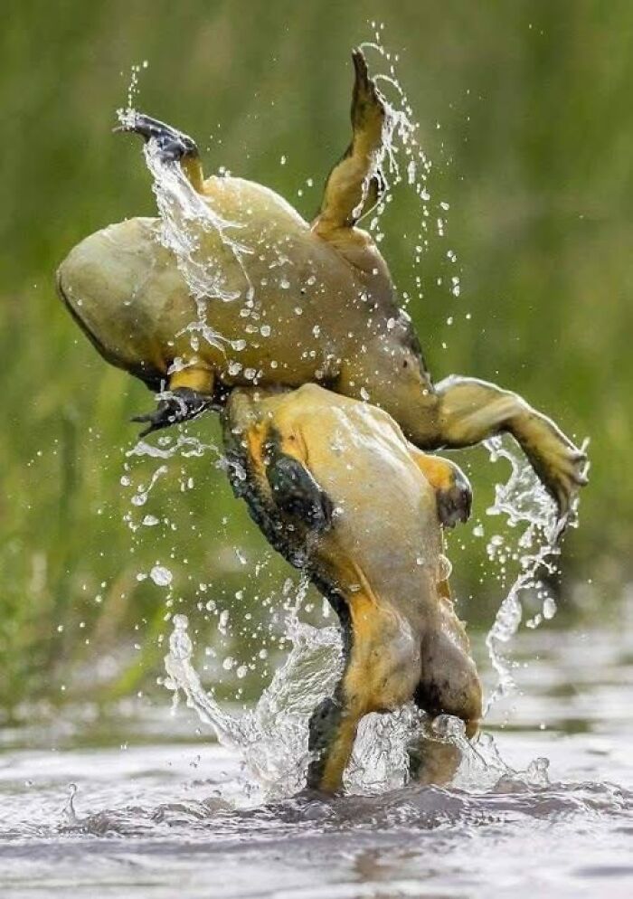 foto bellezze nella natura foto bellezze nella natura