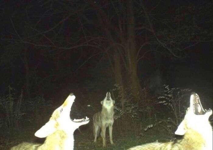 foto bellezze nella natura foto bellezze nella natura