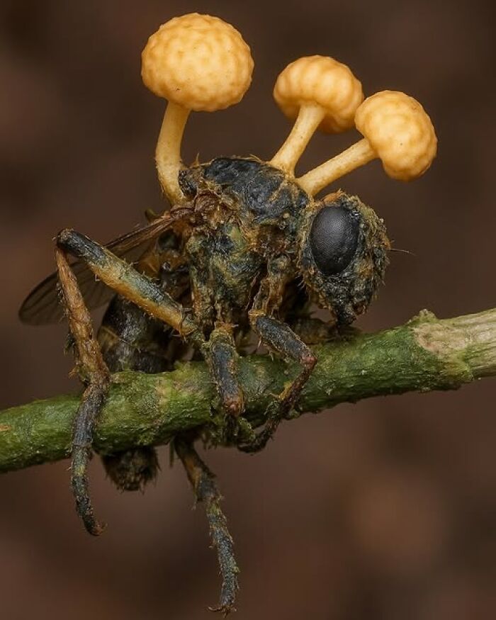 foto bellezze nella natura foto bellezze nella natura