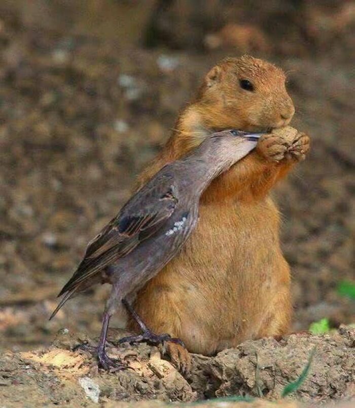 foto bellezze nella natura foto bellezze nella natura