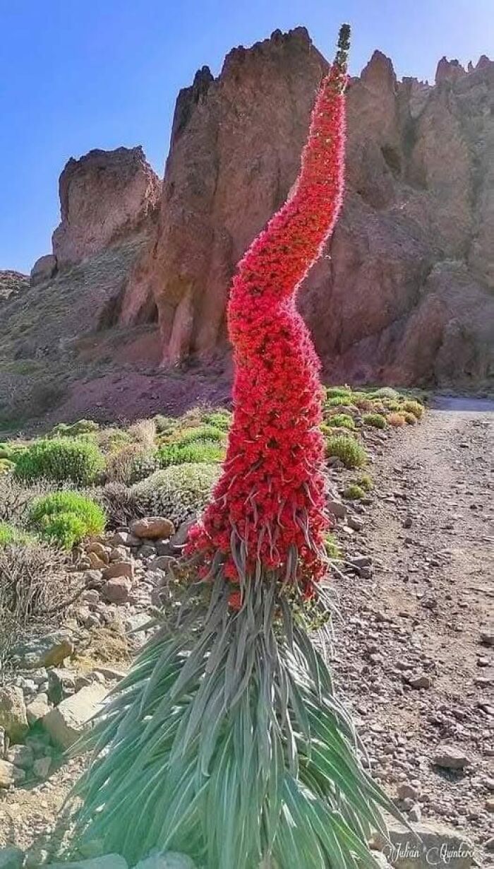 foto bellezze nella natura foto bellezze nella natura