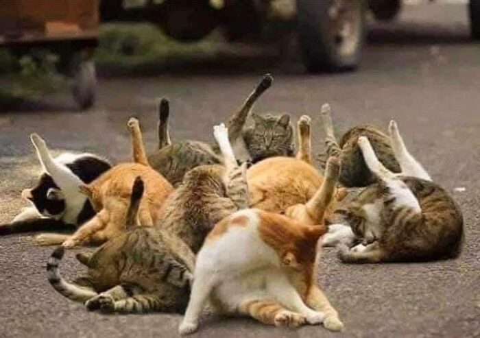 foto bellezze nella natura foto bellezze nella natura