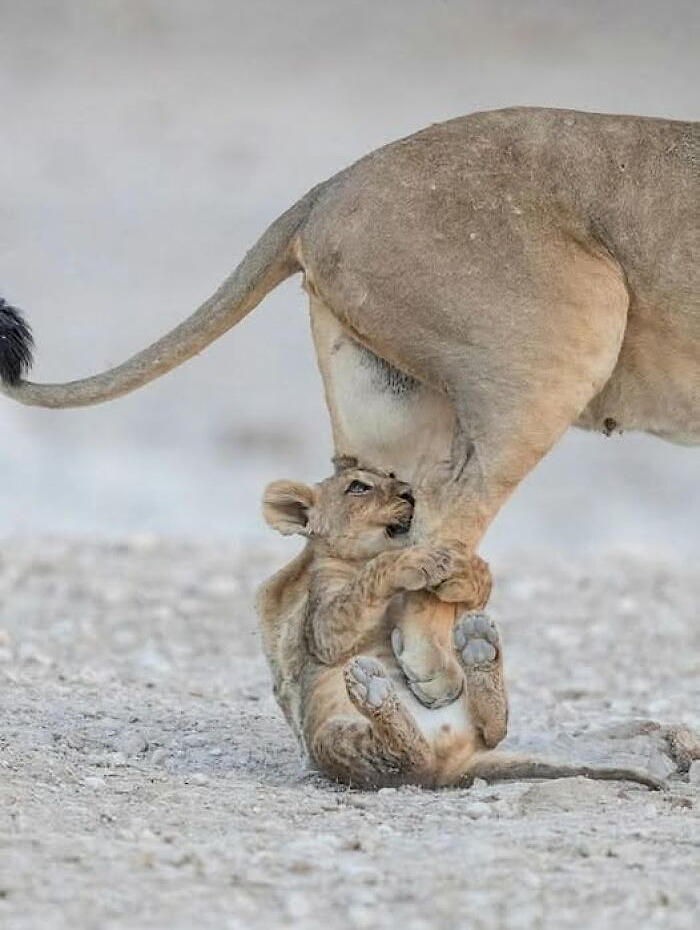 foto bellezze nella natura foto bellezze nella natura