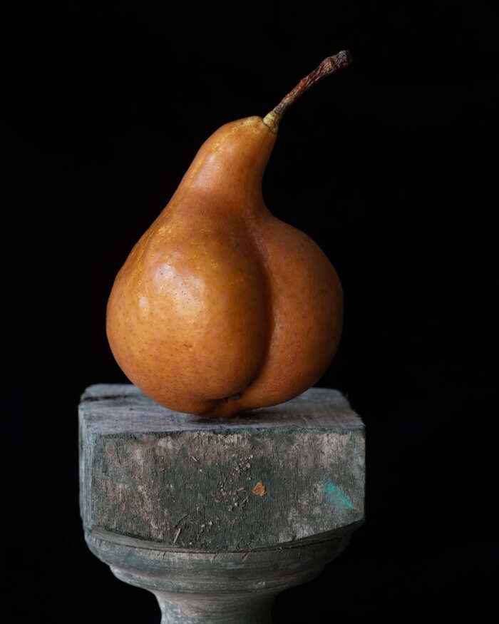 foto cibo World Food Photography Awards foto cibo World Food Photography Awards