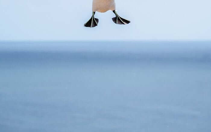 foto naturalistiche divertenti Crap Wildlife Photography foto naturalistiche divertenti Crap Wildlife Photography