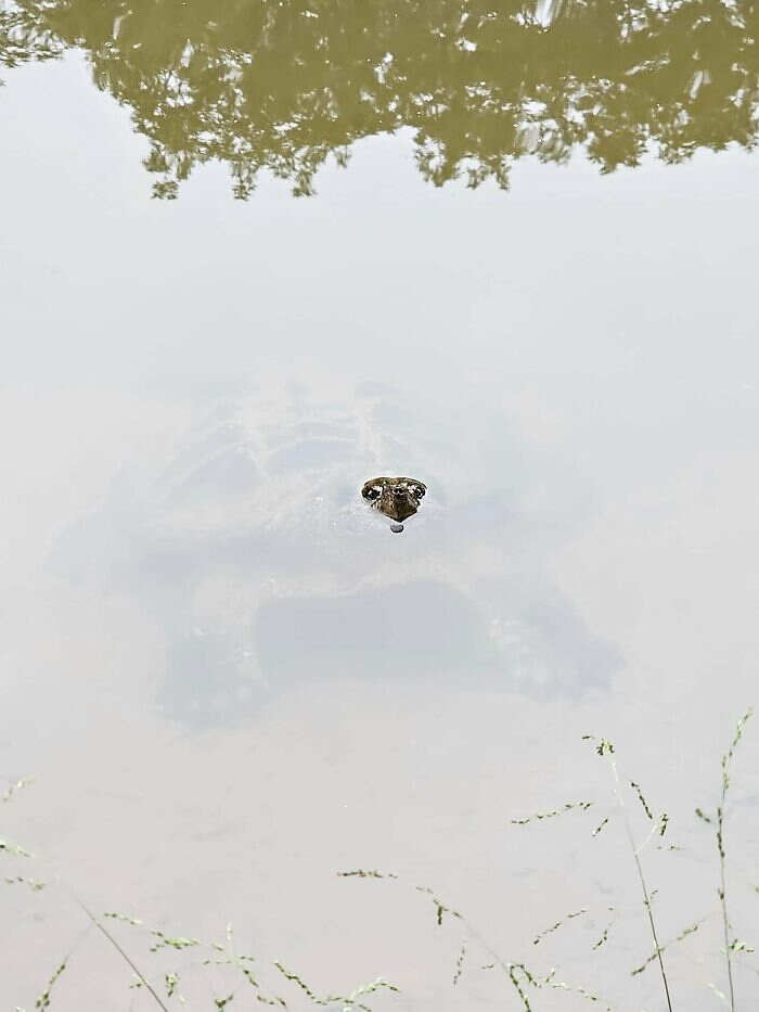 foto naturalistiche divertenti Crap Wildlife Photography foto naturalistiche divertenti Crap Wildlife Photography
