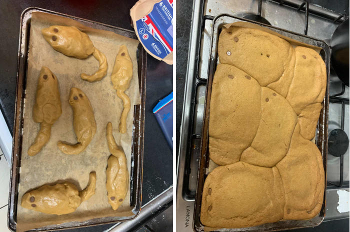 foto divertenti torte brutte piccoli incidenti in cucina foto divertenti torte brutte piccoli incidenti in cucina