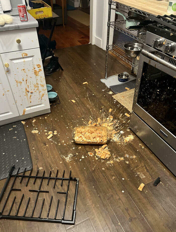 foto divertenti torte brutte piccoli incidenti in cucina foto divertenti torte brutte piccoli incidenti in cucina