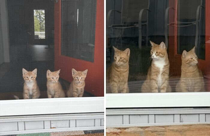 foto interessanti prima e dopo foto interessanti prima e dopo