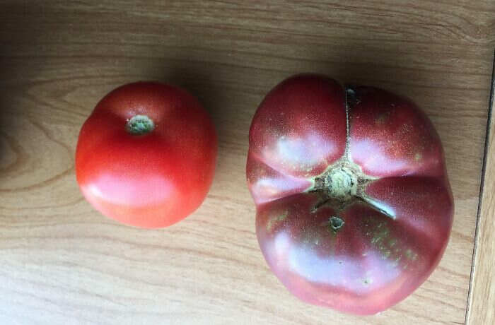 foto interessanti prima e dopo foto interessanti prima e dopo