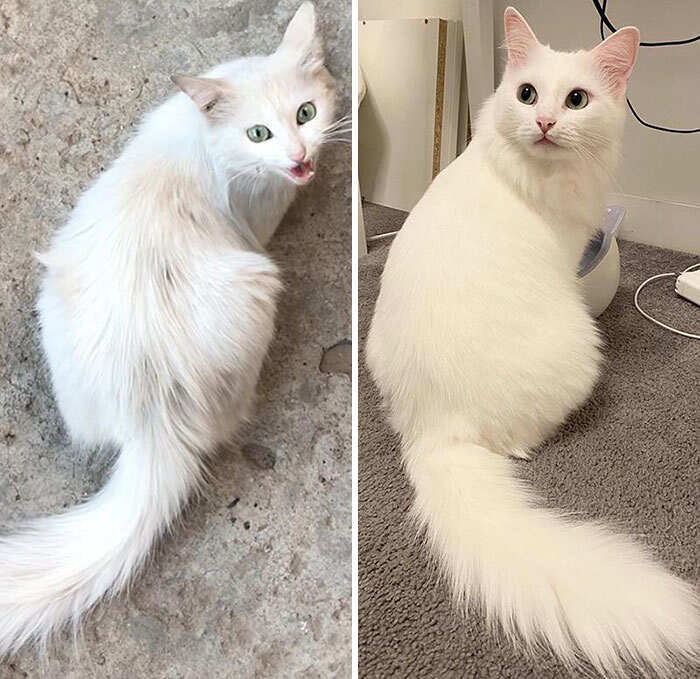 foto interessanti prima e dopo foto interessanti prima e dopo