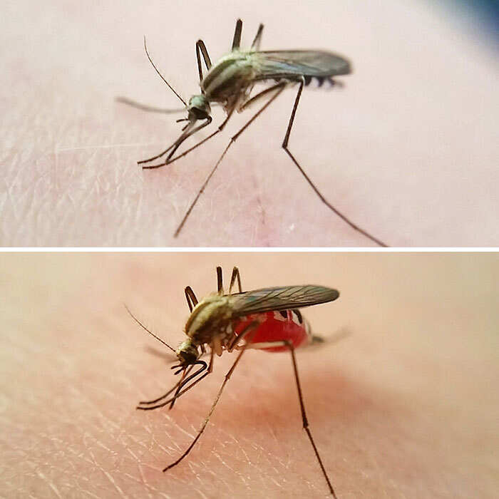 foto interessanti prima e dopo foto interessanti prima e dopo