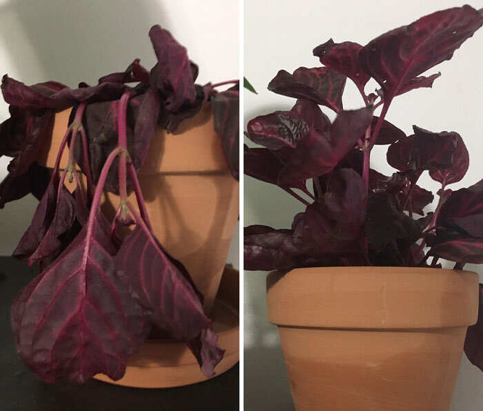 foto interessanti prima e dopo foto interessanti prima e dopo