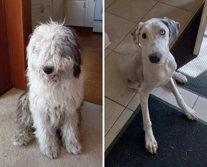 foto interessanti prima e dopo foto interessanti prima e dopo
