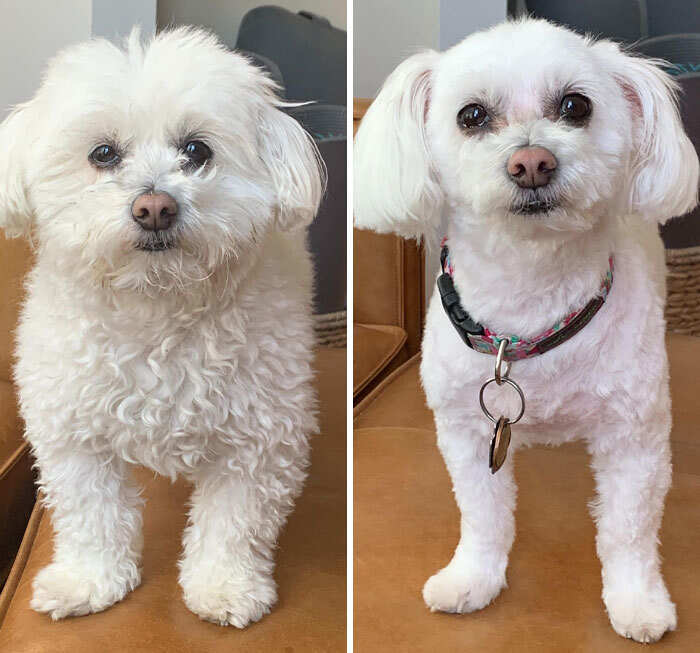 foto interessanti prima e dopo foto interessanti prima e dopo