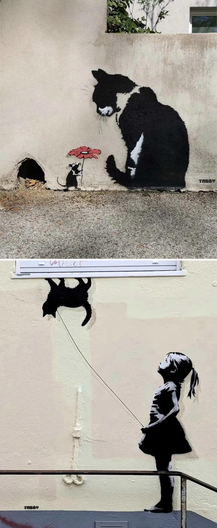 opere d'arte celebrano gatti opere d'arte celebrano gatti