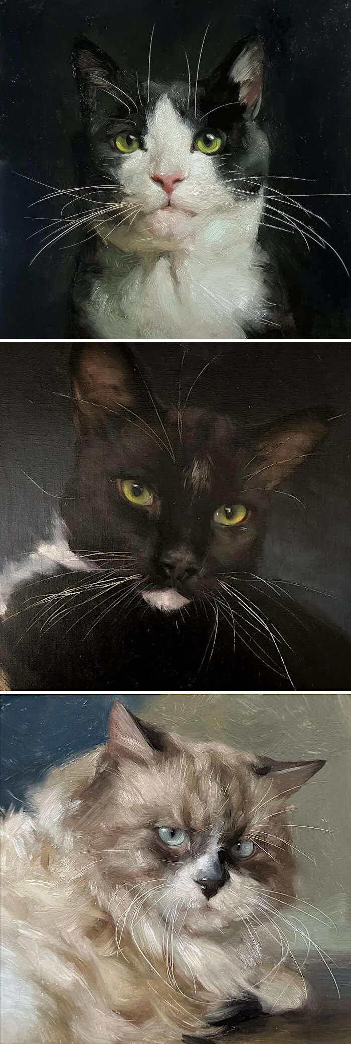 opere d'arte celebrano gatti opere d'arte celebrano gatti