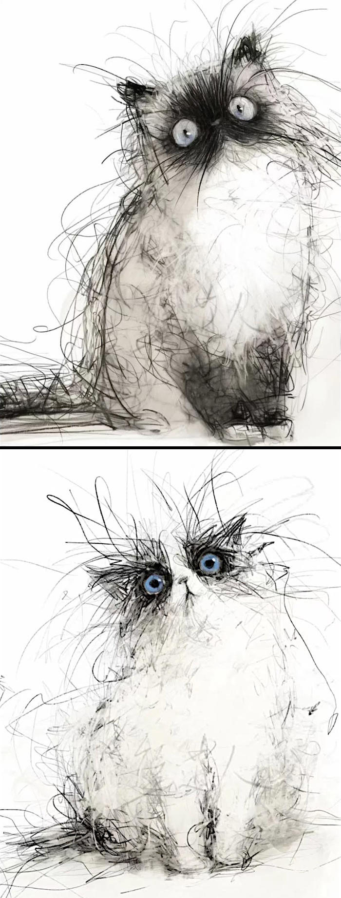 opere d'arte celebrano gatti opere d'arte celebrano gatti