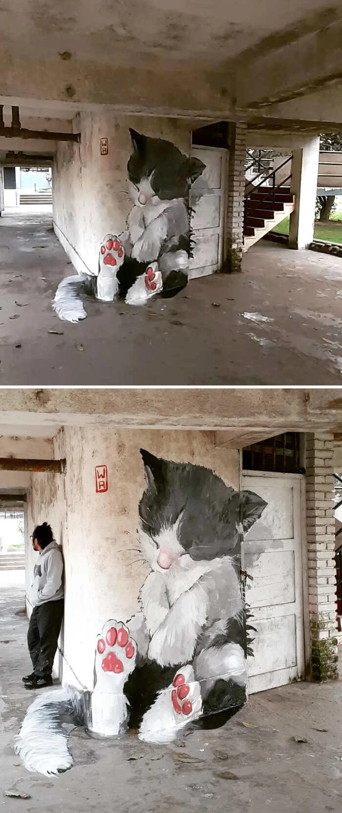 opere d'arte celebrano gatti opere d'arte celebrano gatti