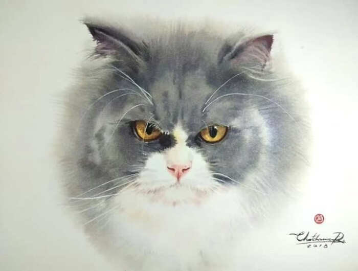 opere d'arte celebrano gatti opere d'arte celebrano gatti
