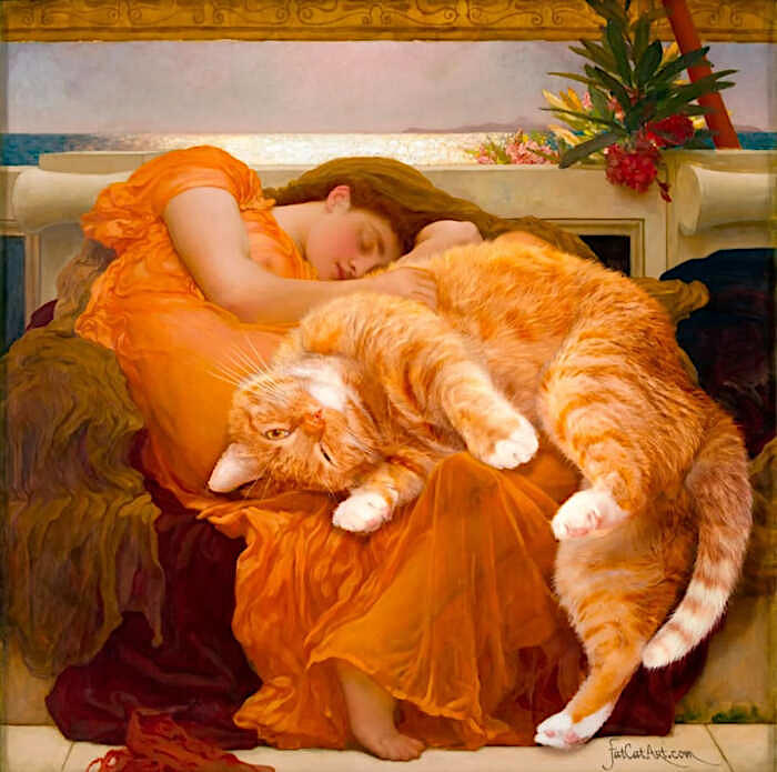 opere d'arte celebrano gatti opere d'arte celebrano gatti