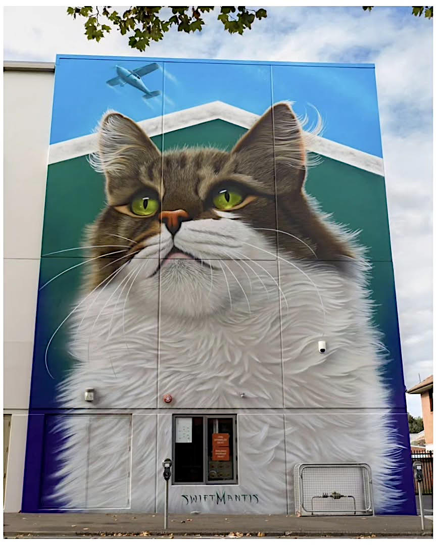 opere d'arte celebrano gatti opere d'arte celebrano gatti