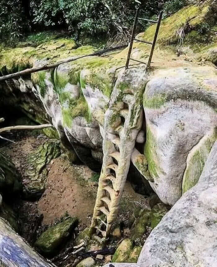 foto scoperte archeologiche reperti antichi foto scoperte archeologiche reperti antichi
