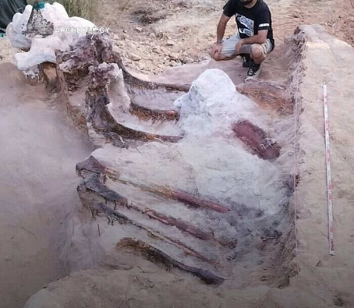 foto scoperte archeologiche reperti antichi foto scoperte archeologiche reperti antichi
