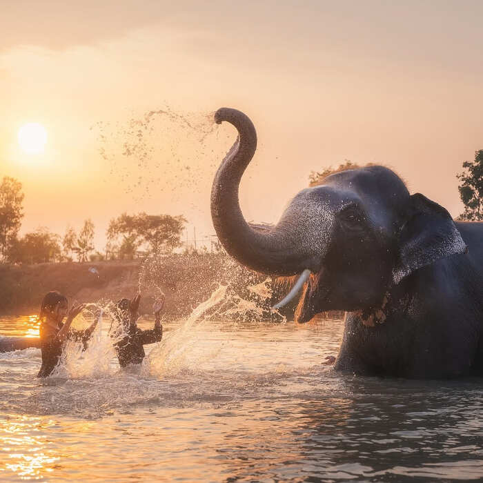 foto bellissime pianeta Daniel Kordan foto bellissime pianeta Daniel Kordan