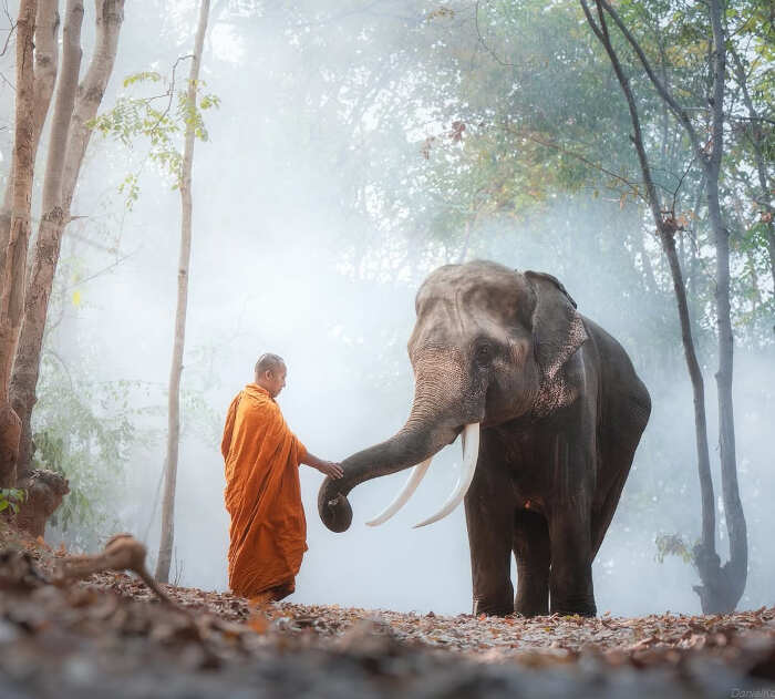 foto bellissime pianeta Daniel Kordan foto bellissime pianeta Daniel Kordan