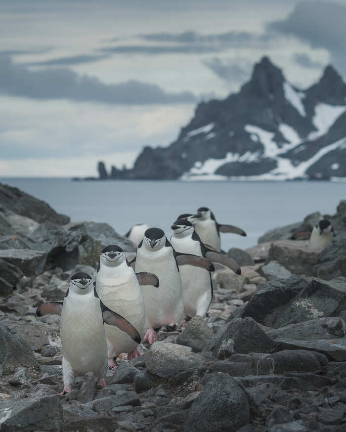 foto bellissime pianeta Daniel Kordan foto bellissime pianeta Daniel Kordan