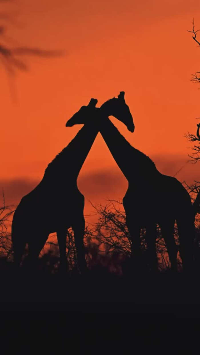 foto bellissime pianeta Daniel Kordan foto bellissime pianeta Daniel Kordan
