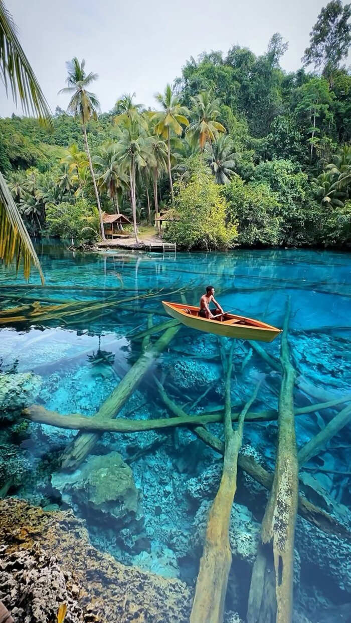 foto bellissime pianeta Daniel Kordan foto bellissime pianeta Daniel Kordan