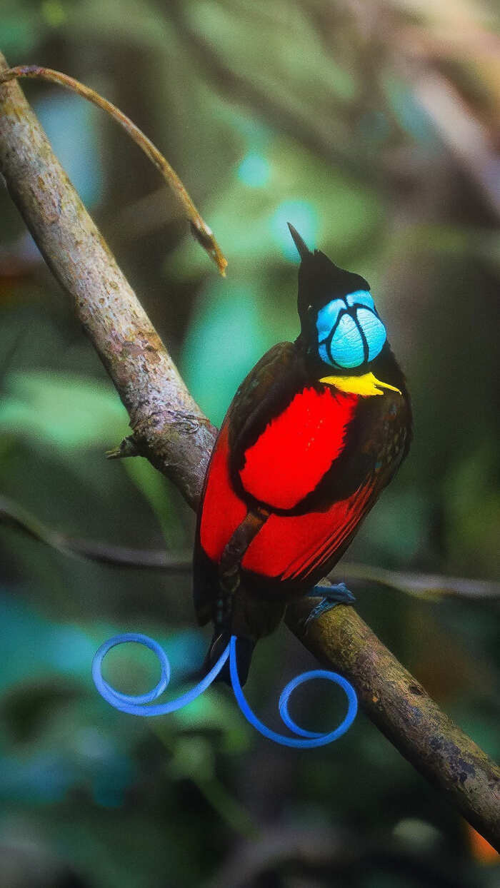 foto bellissime pianeta Daniel Kordan foto bellissime pianeta Daniel Kordan