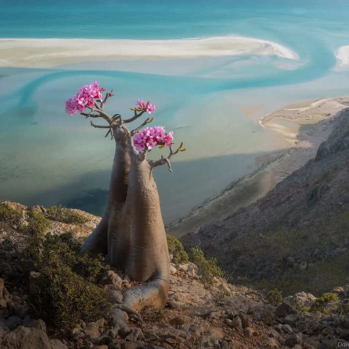 foto bellissime pianeta Daniel Kordan foto bellissime pianeta Daniel Kordan