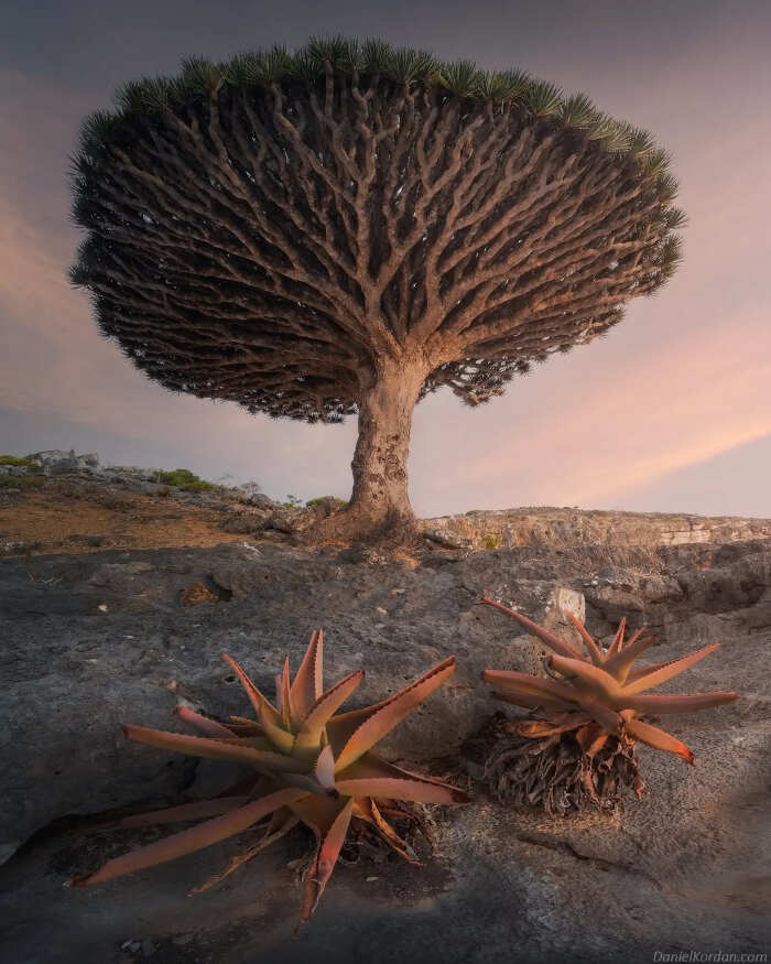 foto bellissime pianeta Daniel Kordan foto bellissime pianeta Daniel Kordan