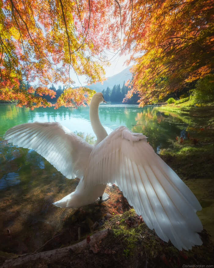 foto bellissime pianeta Daniel Kordan foto bellissime pianeta Daniel Kordan