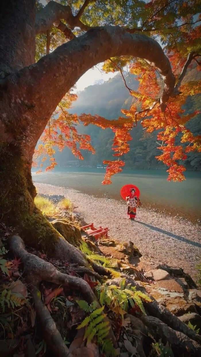 foto bellissime pianeta Daniel Kordan foto bellissime pianeta Daniel Kordan